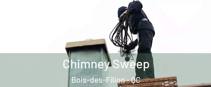  Chimney Sweep Bois-des-Filion - QC