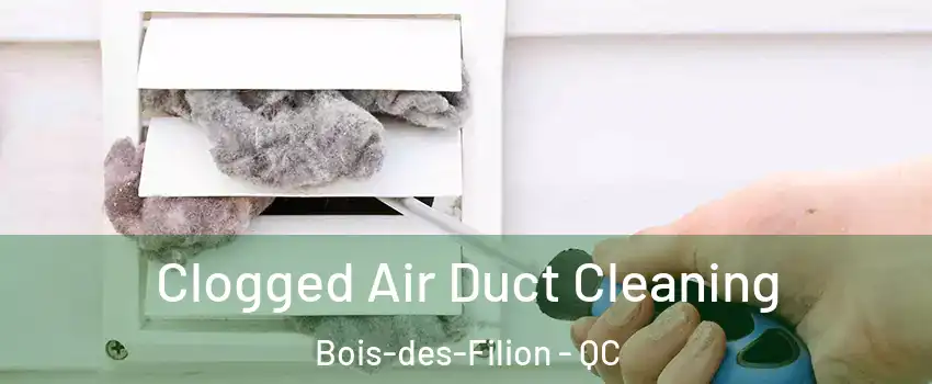 Clogged Air Duct Cleaning Bois-des-Filion - QC