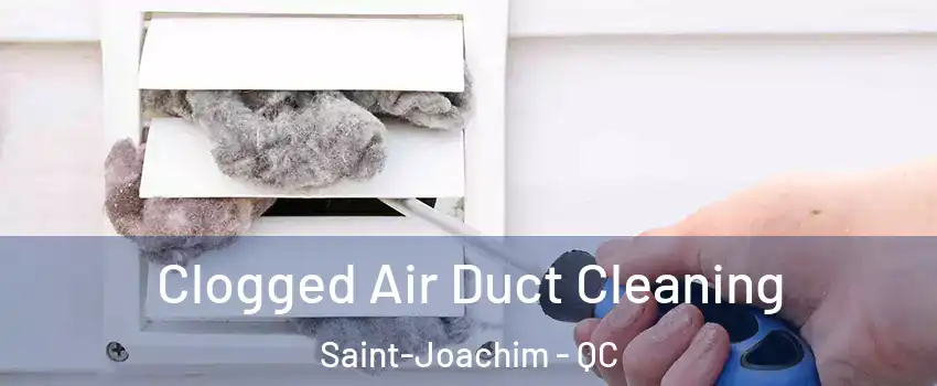  Clogged Air Duct Cleaning Saint-Joachim - QC