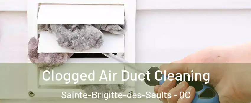  Clogged Air Duct Cleaning Sainte-Brigitte-des-Saults - QC
