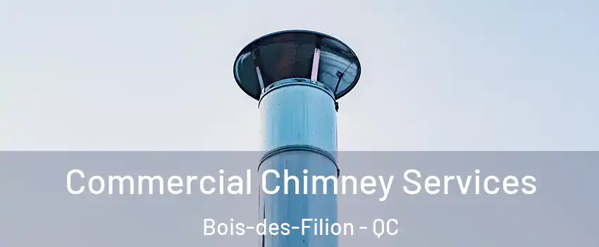  Commercial Chimney Services Bois-des-Filion - QC