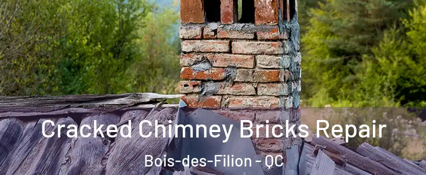  Cracked Chimney Bricks Repair Bois-des-Filion - QC