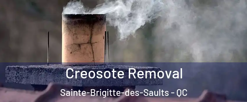 Creosote Removal Sainte-Brigitte-des-Saults - QC