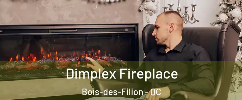  Dimplex Fireplace Bois-des-Filion - QC