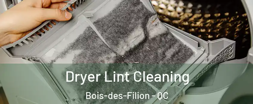  Dryer Lint Cleaning Bois-des-Filion - QC
