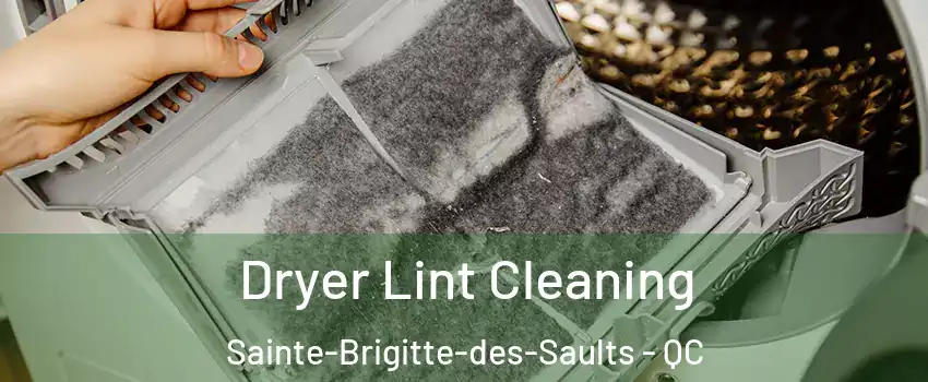  Dryer Lint Cleaning Sainte-Brigitte-des-Saults - QC