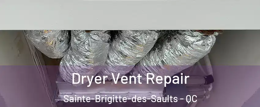  Dryer Vent Repair Sainte-Brigitte-des-Saults - QC
