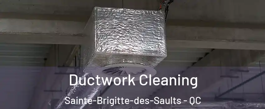  Ductwork Cleaning Sainte-Brigitte-des-Saults - QC