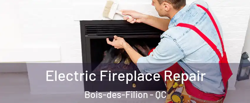  Electric Fireplace Repair Bois-des-Filion - QC
