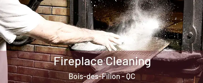  Fireplace Cleaning Bois-des-Filion - QC