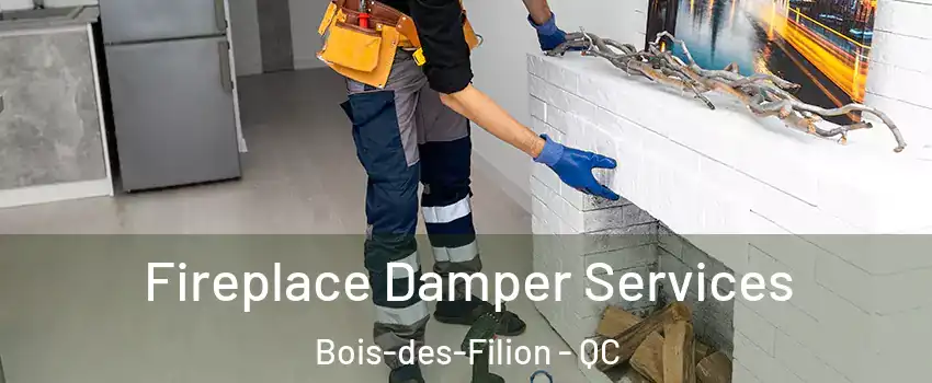 Fireplace Damper Services Bois-des-Filion - QC