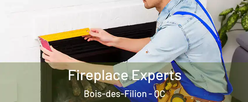  Fireplace Experts Bois-des-Filion - QC