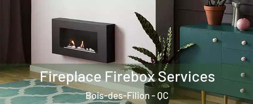  Fireplace Firebox Services Bois-des-Filion - QC