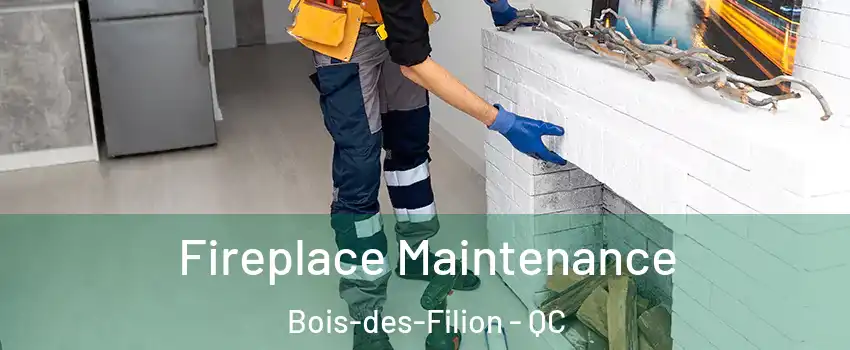  Fireplace Maintenance Bois-des-Filion - QC