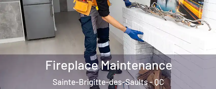  Fireplace Maintenance Sainte-Brigitte-des-Saults - QC