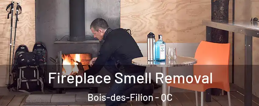  Fireplace Smell Removal Bois-des-Filion - QC