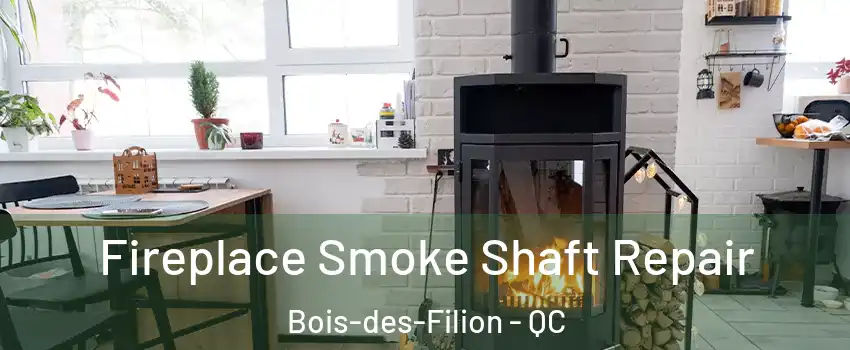  Fireplace Smoke Shaft Repair Bois-des-Filion - QC