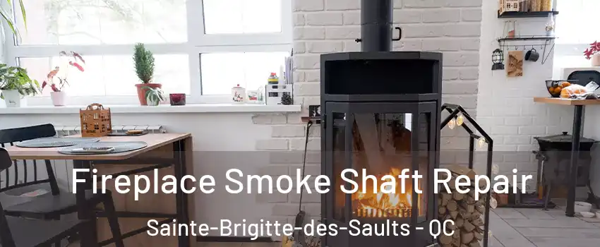  Fireplace Smoke Shaft Repair Sainte-Brigitte-des-Saults - QC