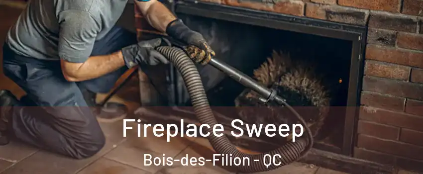  Fireplace Sweep Bois-des-Filion - QC
