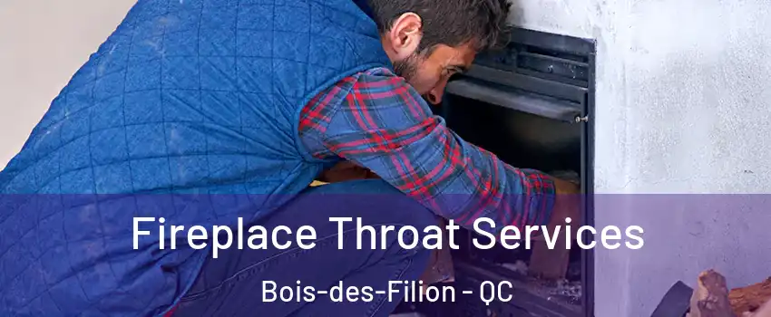  Fireplace Throat Services Bois-des-Filion - QC