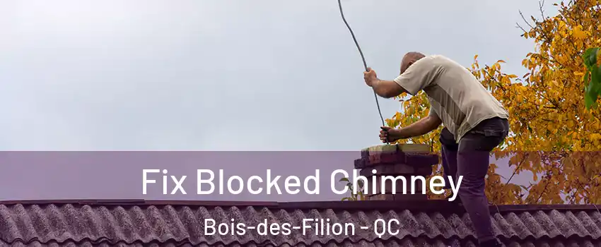  Fix Blocked Chimney Bois-des-Filion - QC