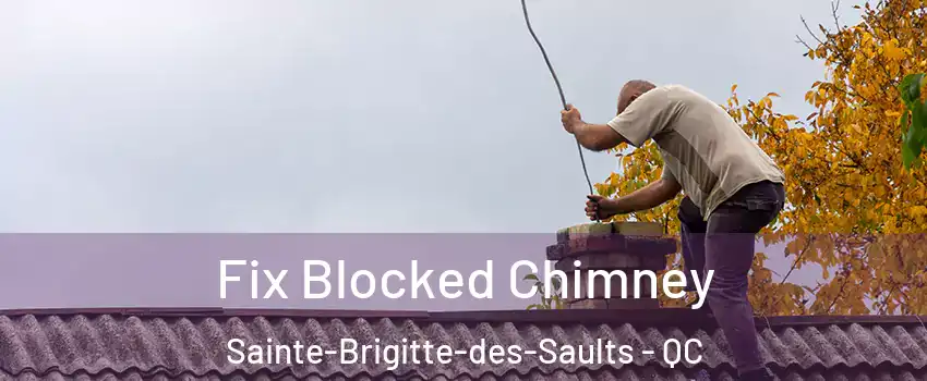  Fix Blocked Chimney Sainte-Brigitte-des-Saults - QC