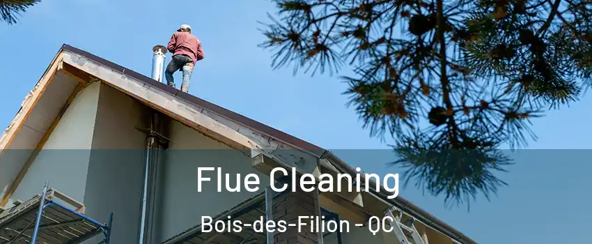  Flue Cleaning Bois-des-Filion - QC