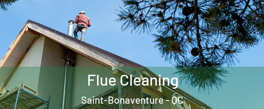  Flue Cleaning Saint-Bonaventure - QC