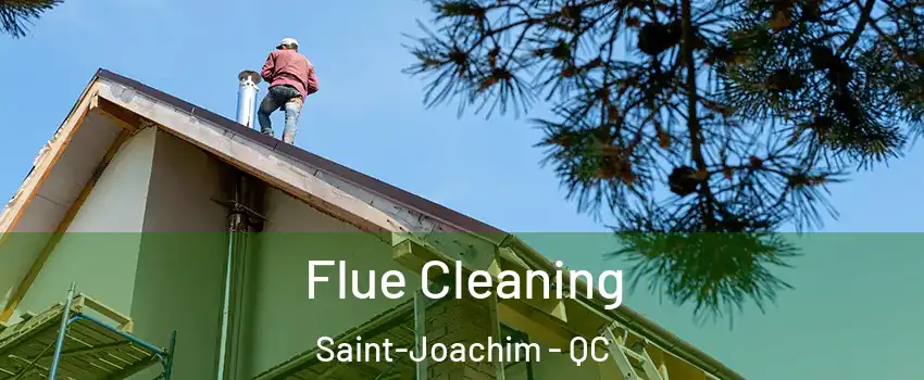  Flue Cleaning Saint-Joachim - QC