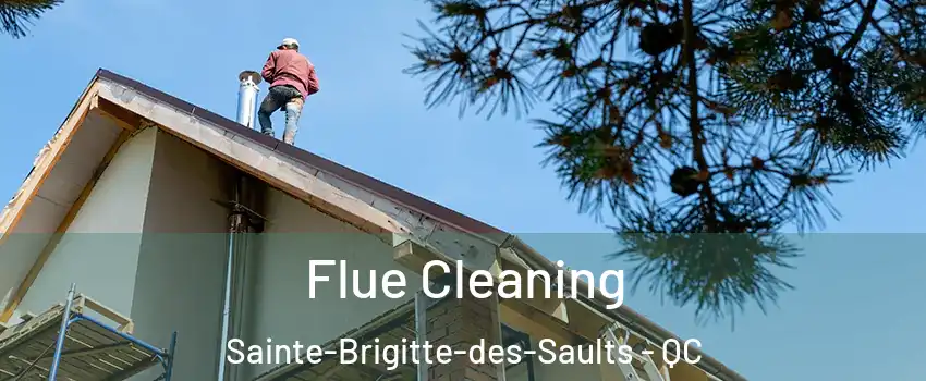  Flue Cleaning Sainte-Brigitte-des-Saults - QC