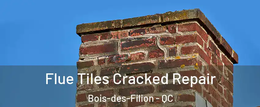  Flue Tiles Cracked Repair Bois-des-Filion - QC