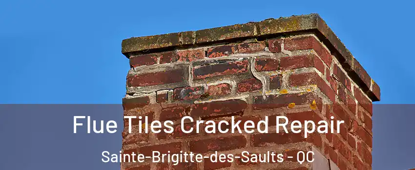  Flue Tiles Cracked Repair Sainte-Brigitte-des-Saults - QC