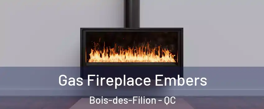  Gas Fireplace Embers Bois-des-Filion - QC