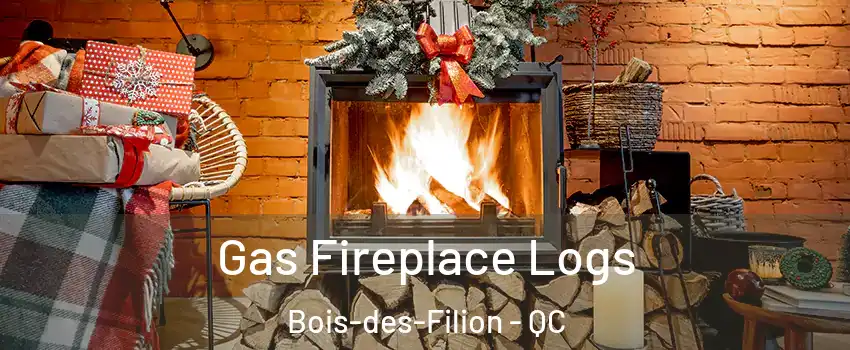  Gas Fireplace Logs Bois-des-Filion - QC