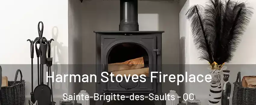  Harman Stoves Fireplace Sainte-Brigitte-des-Saults - QC