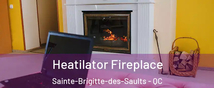  Heatilator Fireplace Sainte-Brigitte-des-Saults - QC