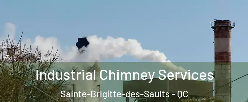  Industrial Chimney Services Sainte-Brigitte-des-Saults - QC
