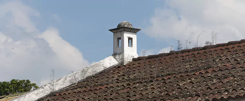 Wind-Resistant Chimney Caps Installation and Repair Services in Drummondville, Quebec