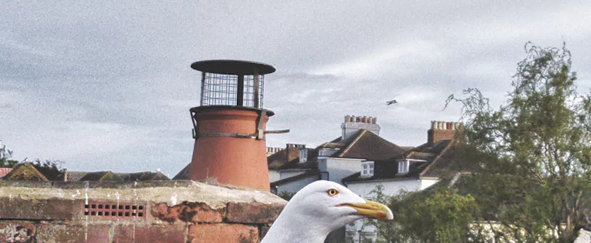 Chimney Cap Bird Guard Repair in Drummondville, Quebec