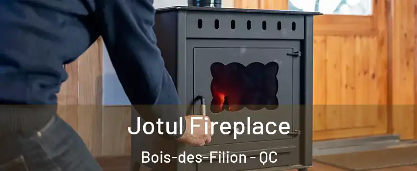  Jotul Fireplace Bois-des-Filion - QC