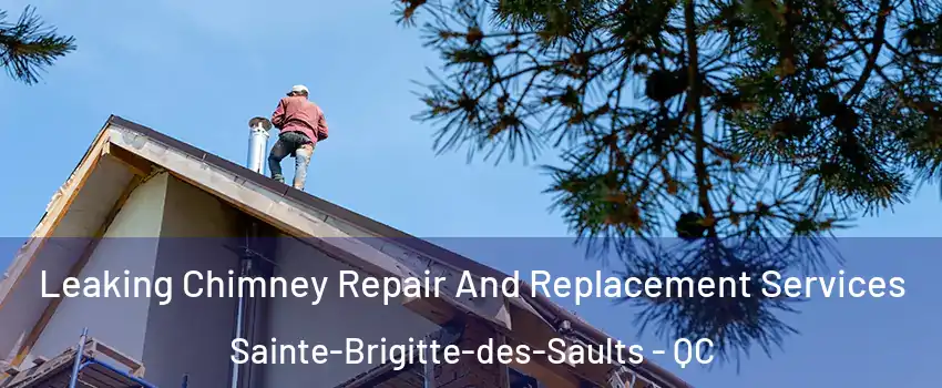  Leaking Chimney Repair And Replacement Services Sainte-Brigitte-des-Saults - QC