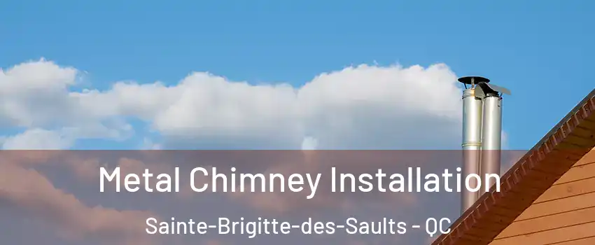  Metal Chimney Installation Sainte-Brigitte-des-Saults - QC
