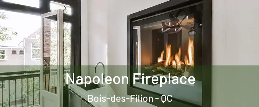  Napoleon Fireplace Bois-des-Filion - QC