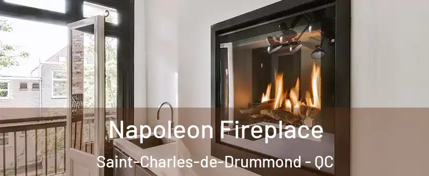  Napoleon Fireplace Saint-Charles-de-Drummond - QC