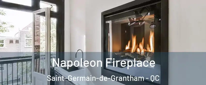  Napoleon Fireplace Saint-Germain-de-Grantham - QC