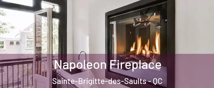  Napoleon Fireplace Sainte-Brigitte-des-Saults - QC