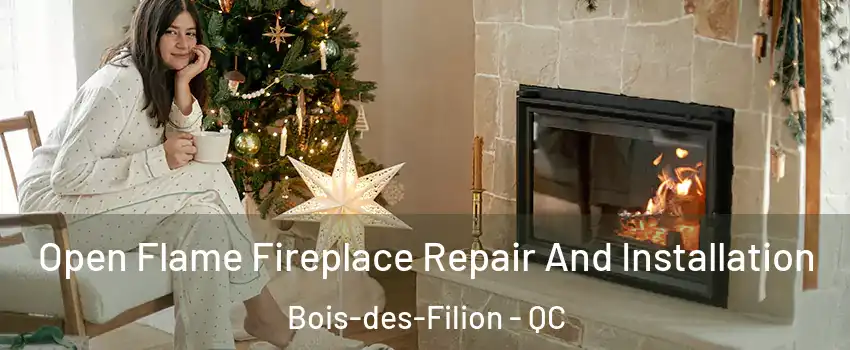  Open Flame Fireplace Repair And Installation Bois-des-Filion - QC