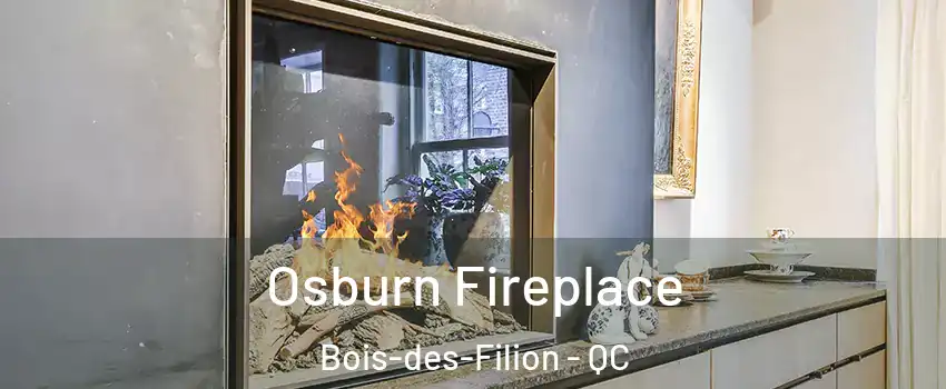  Osburn Fireplace Bois-des-Filion - QC