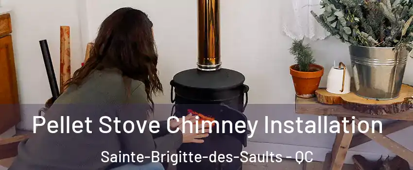  Pellet Stove Chimney Installation Sainte-Brigitte-des-Saults - QC