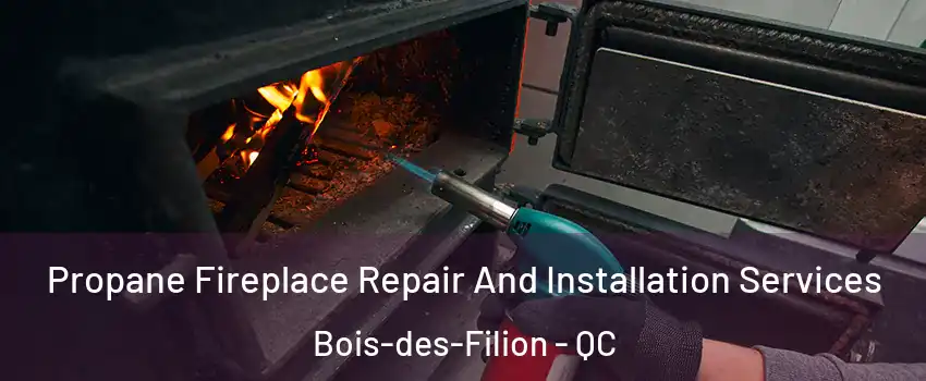 Propane Fireplace Repair And Installation Services Bois-des-Filion - QC